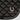 Schabracke Satin STOUT! Burgundy schwarz Shetland