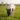 Fliegenmaske Lucky Shetlandpony