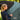 COMFORT Regen-vliegendeken