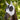 Fliegenmaske Puck Atem