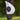 Fliegenmaske Puck Atem